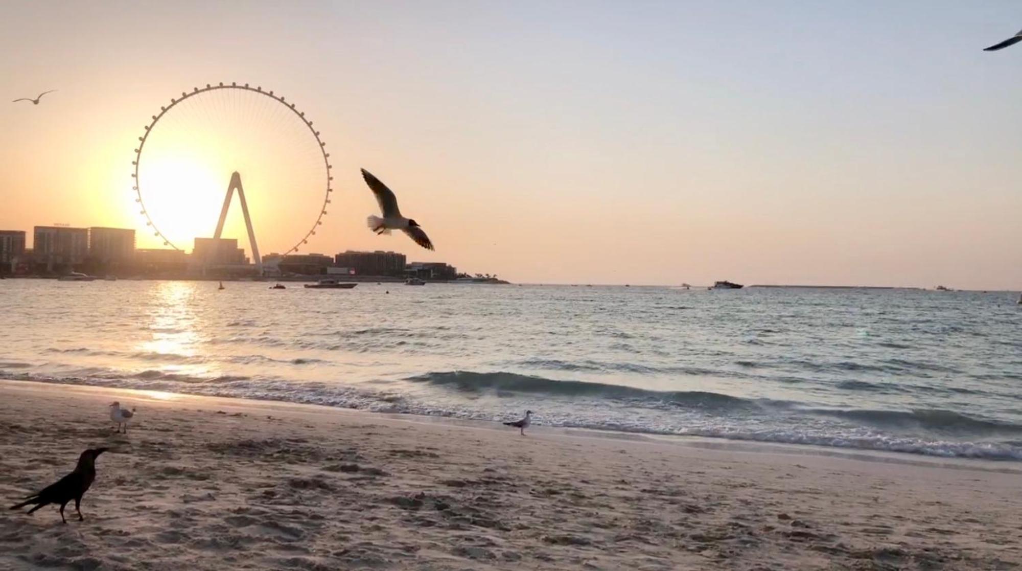 דובאי Jbr Beachfront Luxe Apartment All Rooms Sea Facing מראה חיצוני תמונה